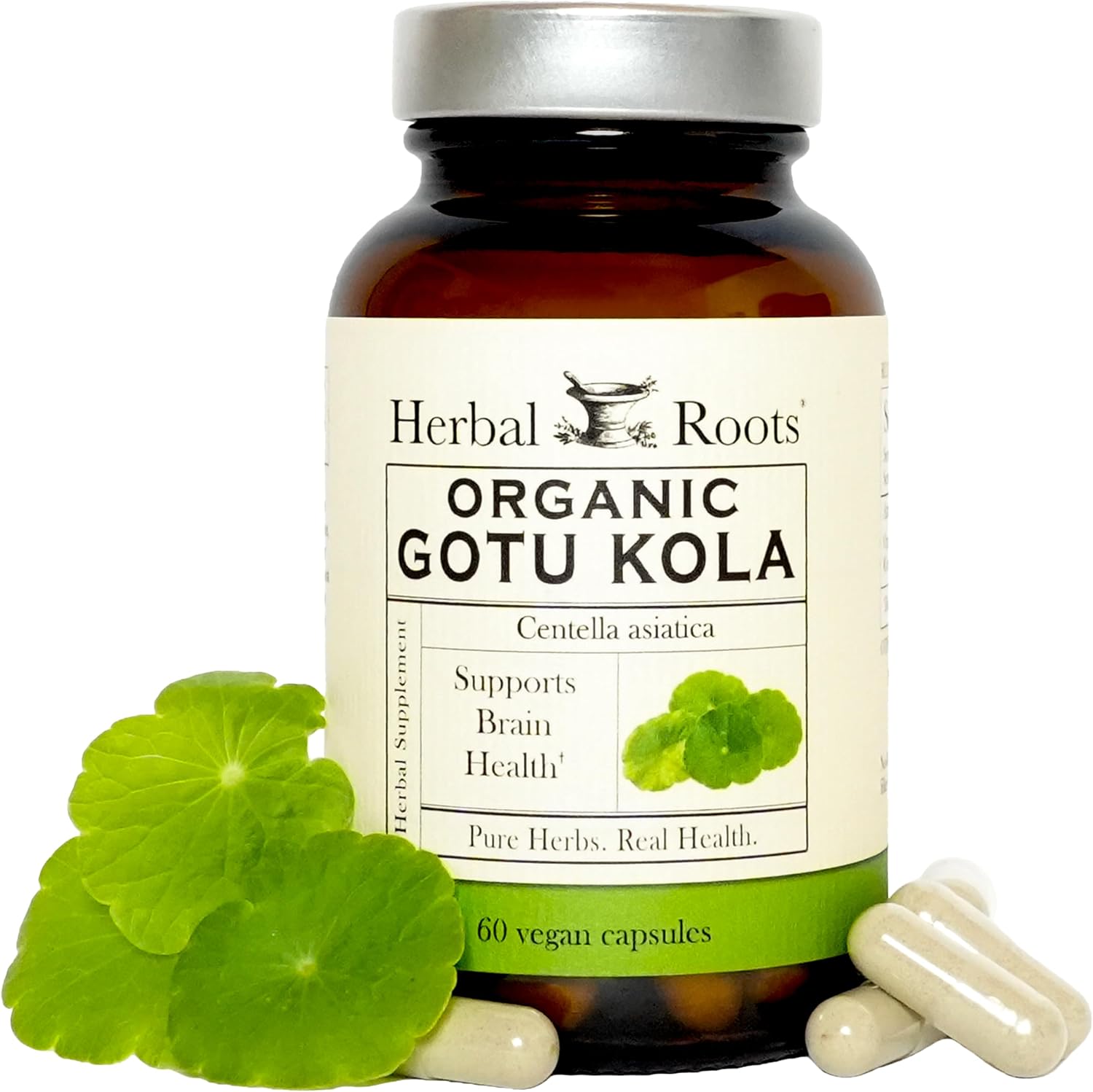 Herbal Roots Organic Gotu Kola Supplement - Centella Asiatica - 60 Day Supply - Cognitive Support and Brain Health - Purity Tested - 60 Vegan Capsules